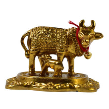 Dhan Laxmi Cow