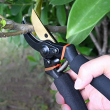 Heavy Duty Garden Pruning Shears (1 Pc)